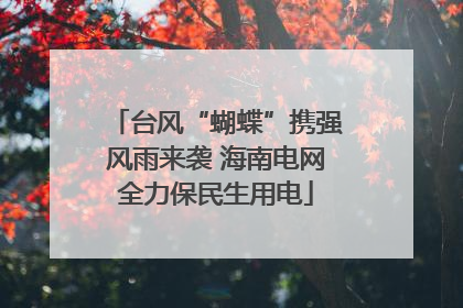 台风“蝴蝶”携强风雨来袭 海南电网全力保民生用电
